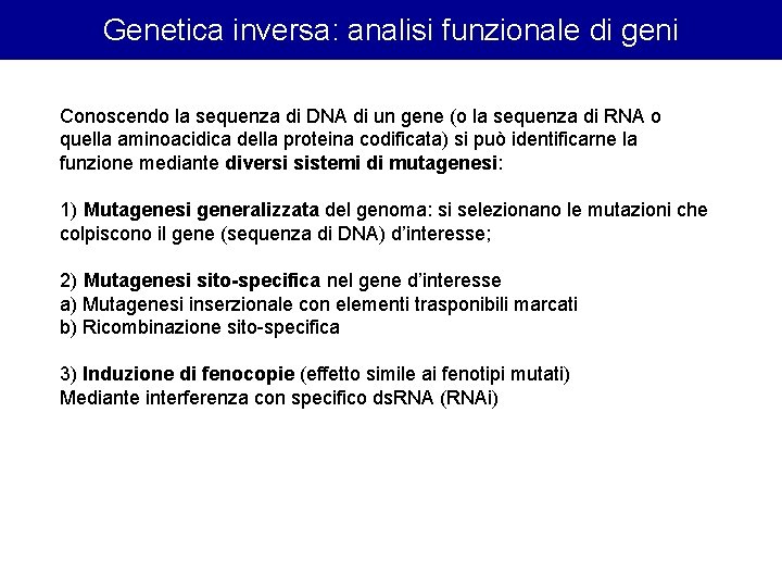 Genetica inversa: analisi funzionale di geni Conoscendo la sequenza di DNA di un gene Genetica inversa: analisi funzionale di geni Conoscendo la sequenza di DNA di un gene