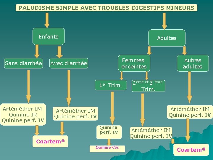 PALUDISME SIMPLE AVEC TROUBLES DIGESTIFS MINEURS Enfants Sans diarrhée Adultes Femmes enceintes Avec diarrhée