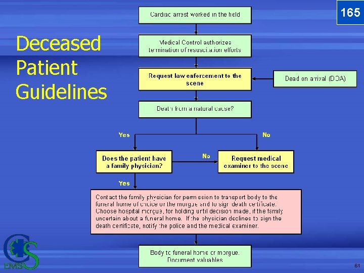 165 Deceased Patient Guidelines 61 165 Deceased Patient Guidelines 61