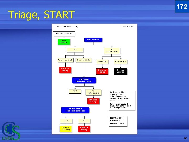 Triage, START 172 66 Triage, START 172 66