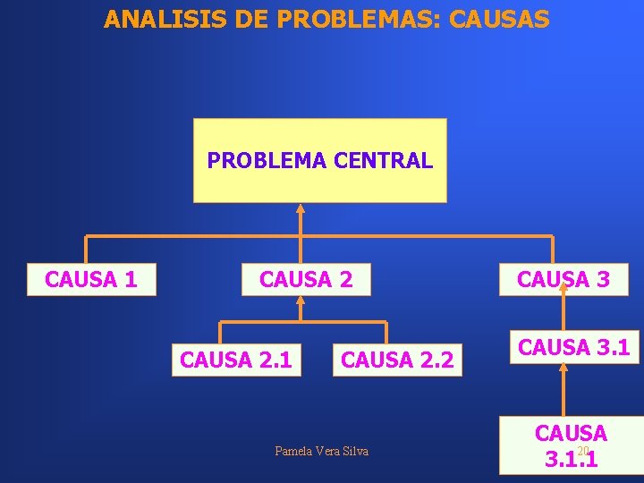 ANALISIS DE PROBLEMAS: CAUSAS PROBLEMA CENTRAL CAUSA 1 CAUSA 2. 2 Pamela Vera Silva