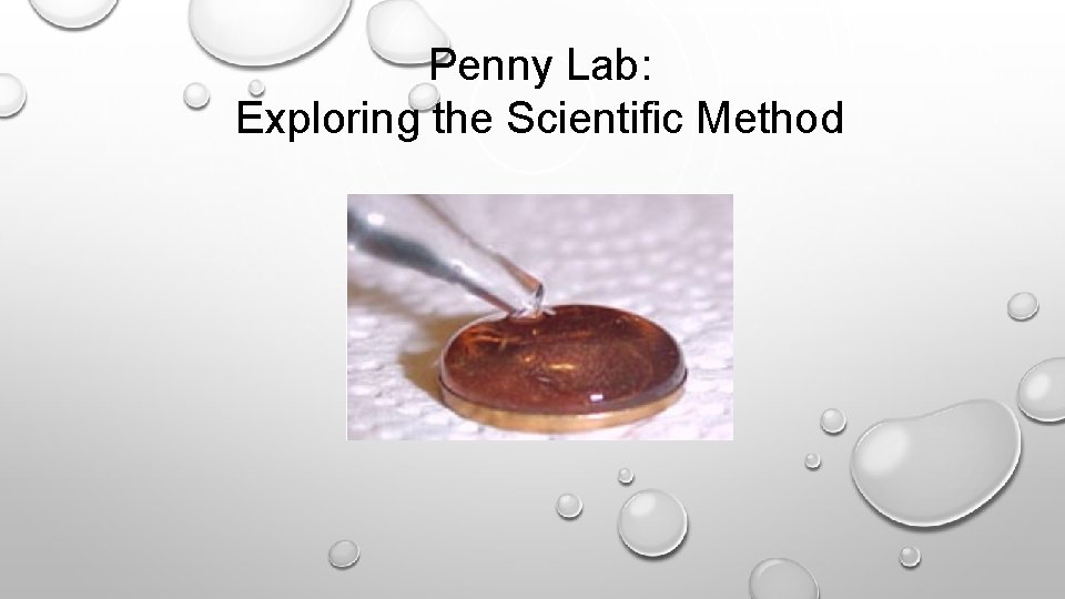 Penny Lab: Exploring the Scientific Method 