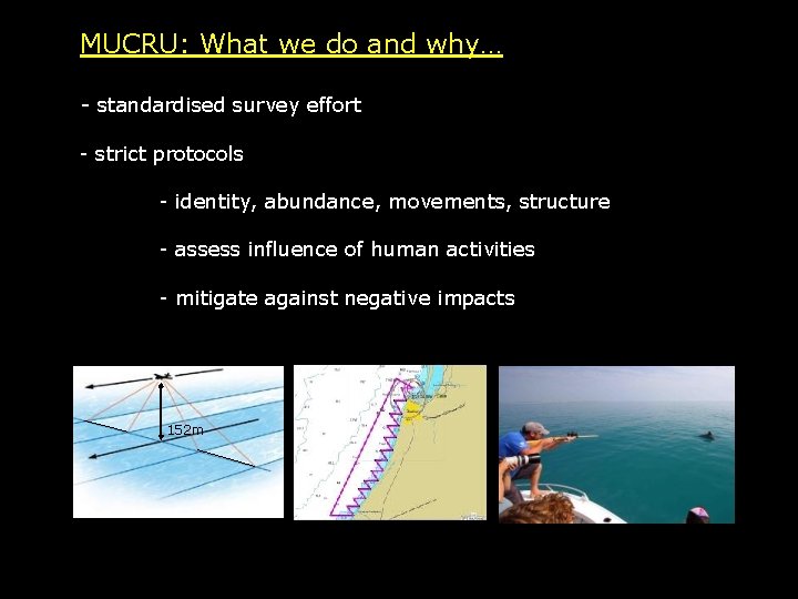 MUCRU: What we do and why… - standardised survey effort - strict protocols -