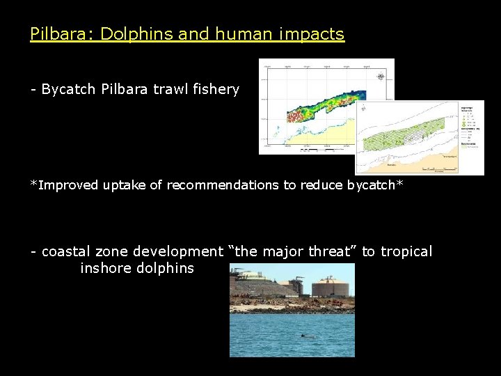Pilbara: Dolphins and human impacts - Bycatch Pilbara trawl fishery *Improved uptake of recommendations