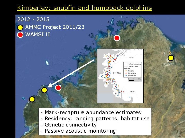 Kimberley: snubfin and humpback dolphins 2012 - 2015 AMMC Project 2011/23 WAMSI II -