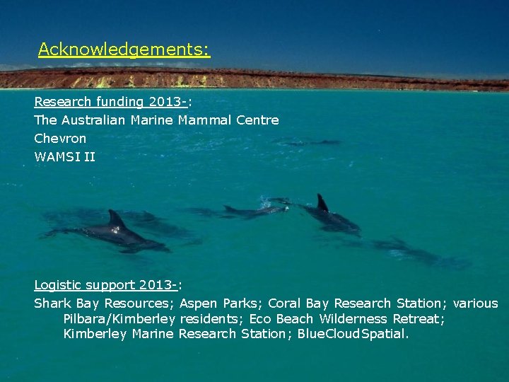Acknowledgements: Research funding 2013 -: The Australian Marine Mammal Centre Chevron WAMSI II Logistic