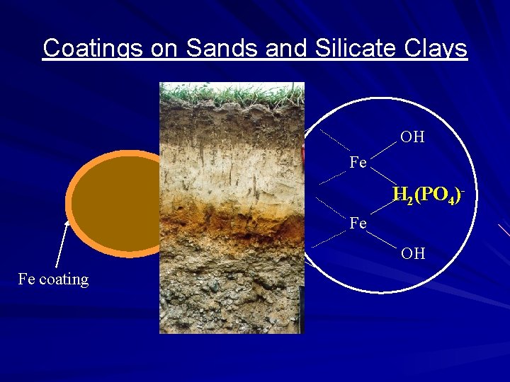 Coatings on Sands and Silicate Clays OH Fe H 2(PO 4)Fe OH Fe coating