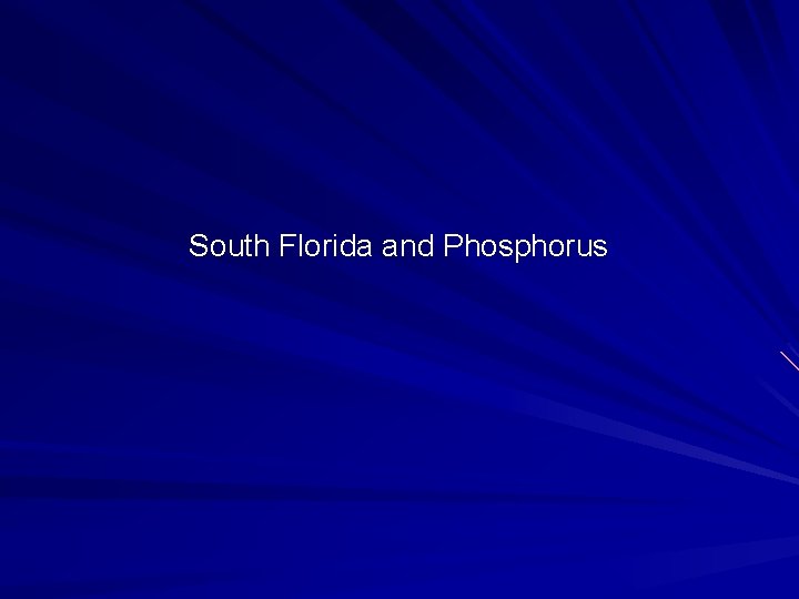 South Florida and Phosphorus 