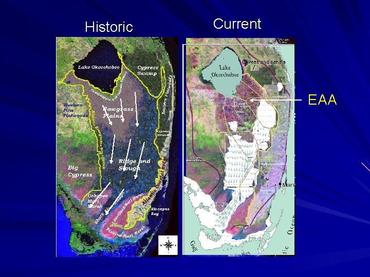 Historic Current EAA 