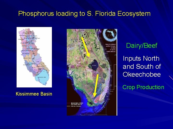 Phosphorus loading to S. Florida Ecosystem Dairy/Beef Inputs North and South of Okeechobee Crop