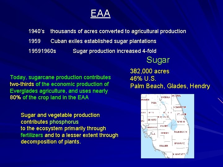 EAA 1940’s thousands of acres converted to agricultural production 1959 Cuban exiles established sugar