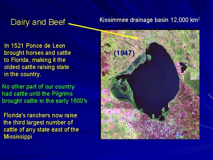 Dairy and Beef In 1521 Ponce de Leon brought horses and cattle to Florida,