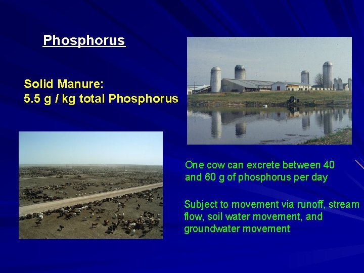 Phosphorus Solid Manure: 5. 5 g / kg total Phosphorus One cow can excrete