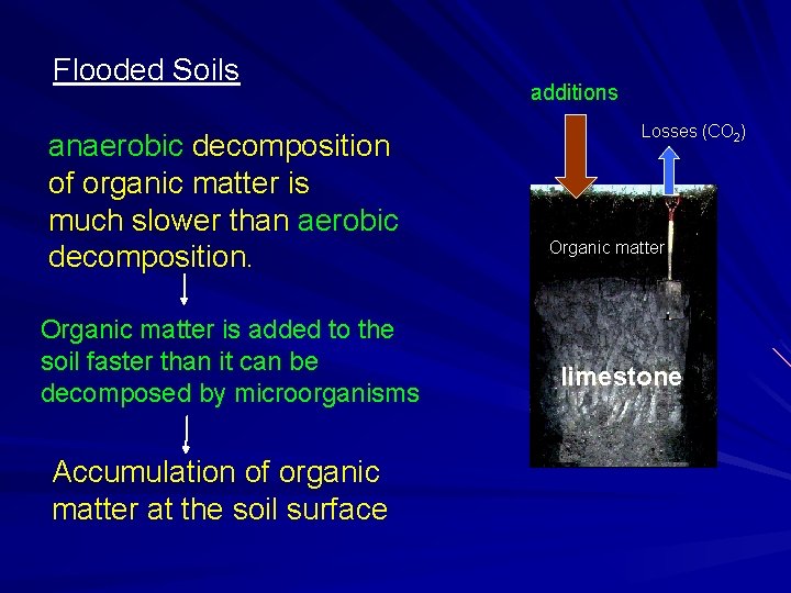 Flooded Soils anaerobic decomposition of organic matter is much slower than aerobic decomposition. Organic