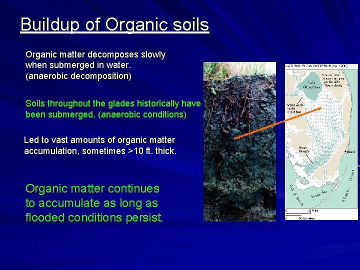 Buildup of Organic soils Organic matter decomposes slowly when submerged in water. (anaerobic decomposition)