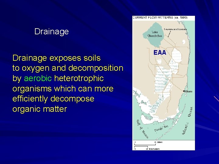 Drainage exposes soils to oxygen and decomposition by aerobic heterotrophic organisms which can more