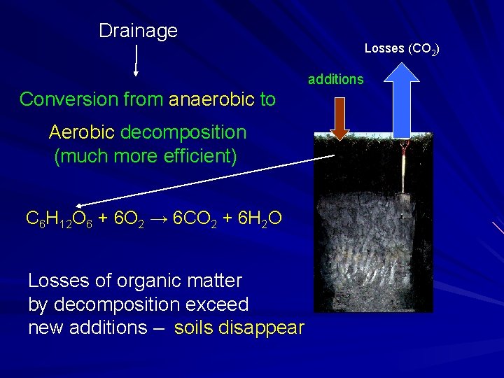 Drainage Losses (CO 2) additions Conversion from anaerobic to Aerobic decomposition (much more efficient)