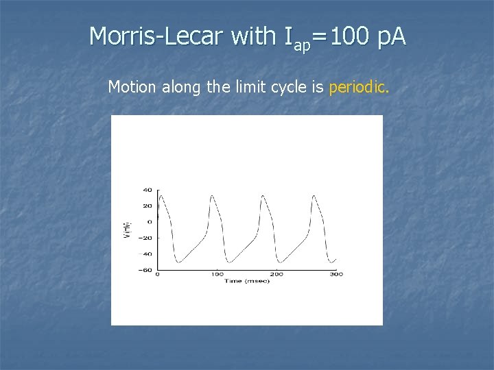 Morris-Lecar with Iap=100 p. A Motion along the limit cycle is periodic. 