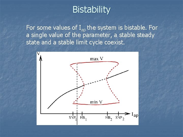 Bistability For some values of Iap the system is bistable. For a single value