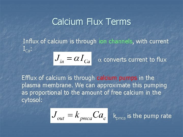 Calcium Flux Terms Influx of calcium is through ion channels, with current ICa: converts