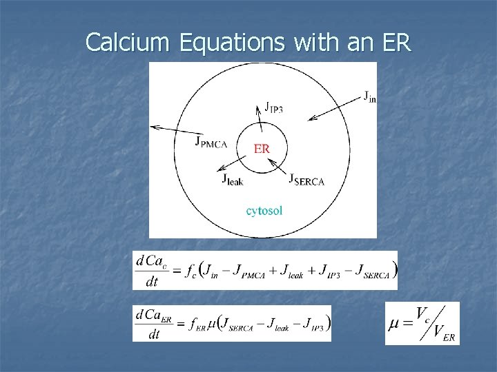 Calcium Equations with an ER 