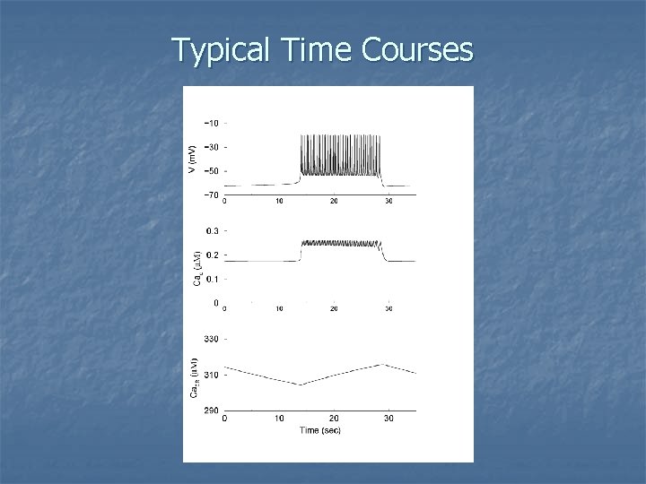 Typical Time Courses 