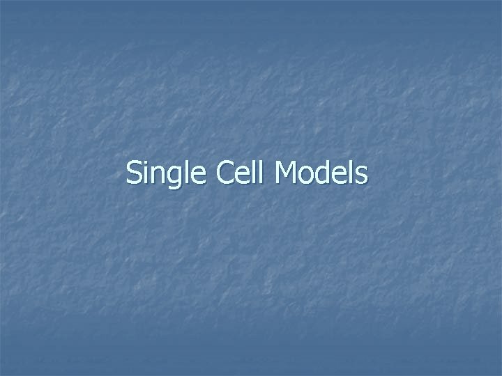 Single Cell Models 