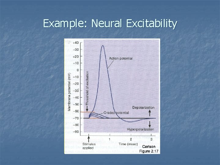 Example: Neural Excitability 