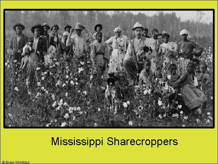 Mississippi Sharecroppers © Brain Wrinkles 