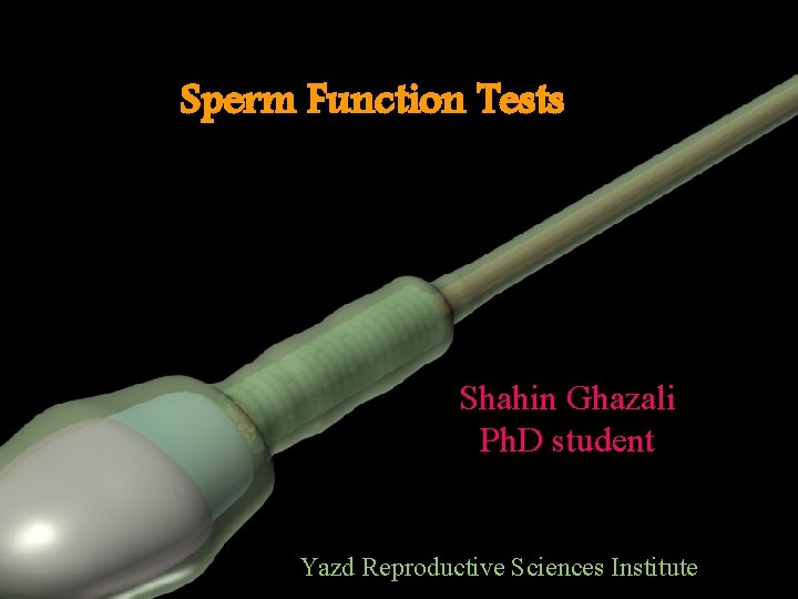 Sperm Function Tests Shahin Ghazali Ph. D student Yazd Reproductive Sciences Institute 