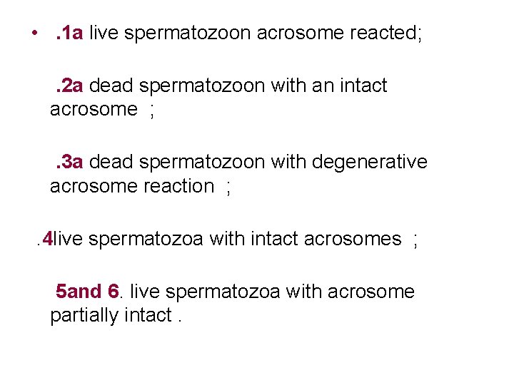  • . 1 a live spermatozoon acrosome reacted; . 2 a dead spermatozoon