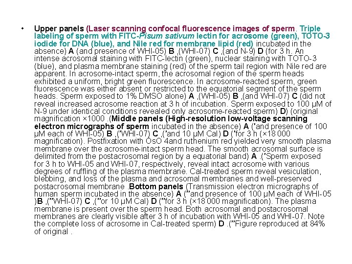  • Upper panels (Laser scanning confocal fluorescence images of sperm. Triple labeling of