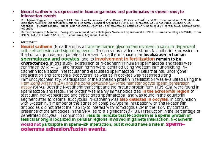  • Neural cadherin is expressed in human gametes and participates in sperm–oocyte interaction