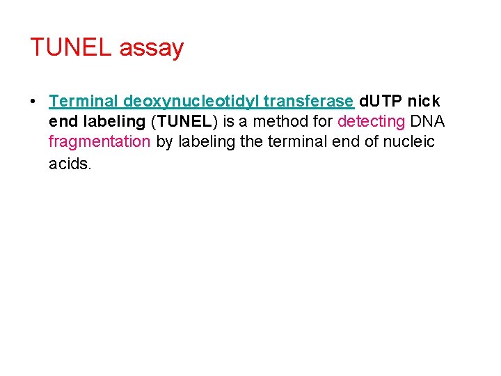 TUNEL assay • Terminal deoxynucleotidyl transferase d. UTP nick end labeling (TUNEL) is a