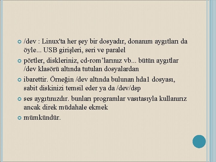 /dev : Linux'ta her şey bir dosyadır, donanım aygıtları da öyle. . . USB