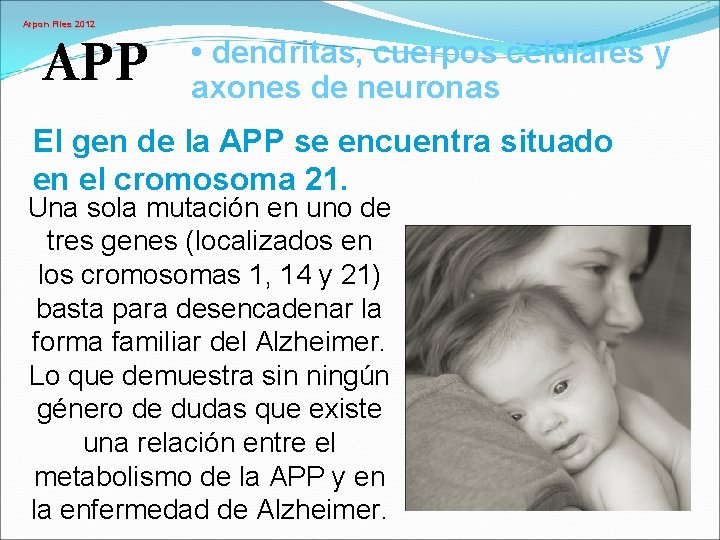 Arpon Files 2012 APP • dendritas, cuerpos celulares y axones de neuronas El gen