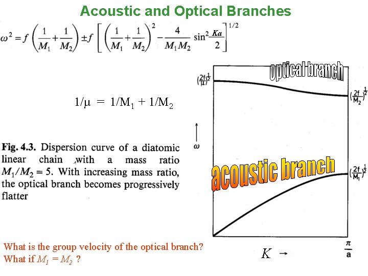 Acoustic and Optical Branches Ka 1/µ = 1/M 1 + 1/M 2 What is