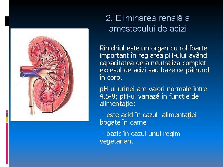 2. Eliminarea renală a amestecului de acizi Rinichiul este un organ cu rol foarte