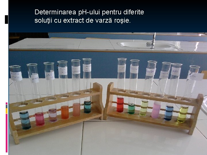 Determinarea p. H-ului pentru diferite soluţii cu extract de varză roşie. 