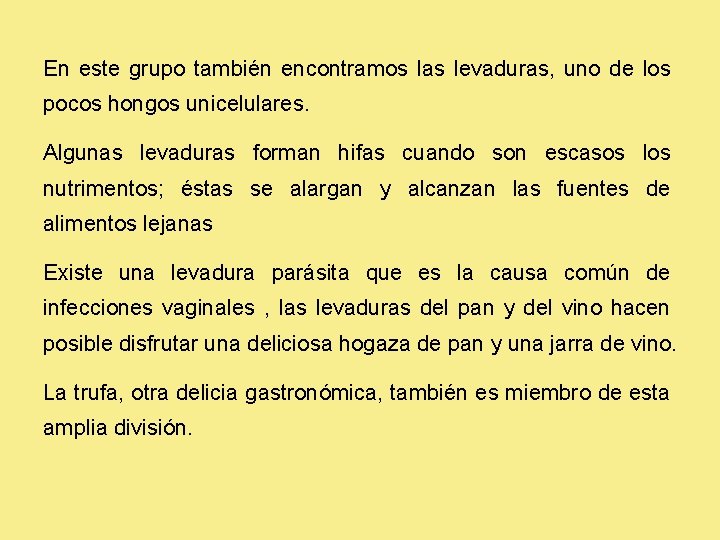 En este grupo también encontramos las levaduras, uno de los pocos hongos unicelulares. Algunas