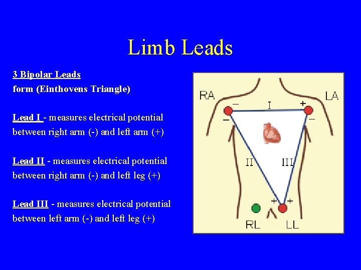 Limb Leads 3 Bipolar Leads form (Einthovens Triangle) Lead I - measures electrical potential