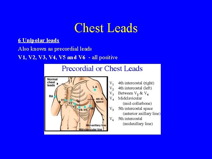 Chest Leads 6 Unipolar leads Also known as precordial leads V 1, V 2,
