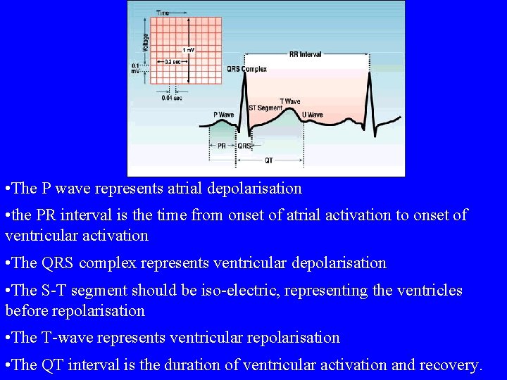  • The P wave represents atrial depolarisation • the PR interval is the