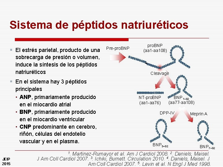 Sistema de péptidos natriuréticos § El estrés parietal, producto de una sobrecarga de presión