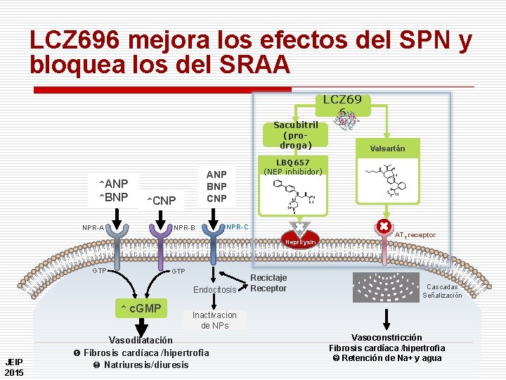 LCZ 696 mejora los efectos del SPN y bloquea los del SRAA LCZ 69