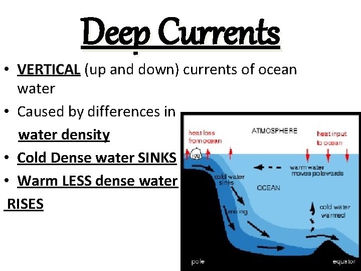 Deep Currents • VERTICAL (up and down) currents of ocean water • Caused by
