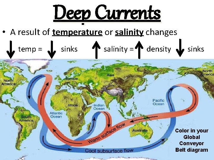 Deep Currents • A result of temperature or salinity changes temp = sinks salinity