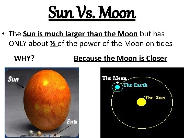 Sun Vs. Moon • The Sun is much larger than the Moon but has