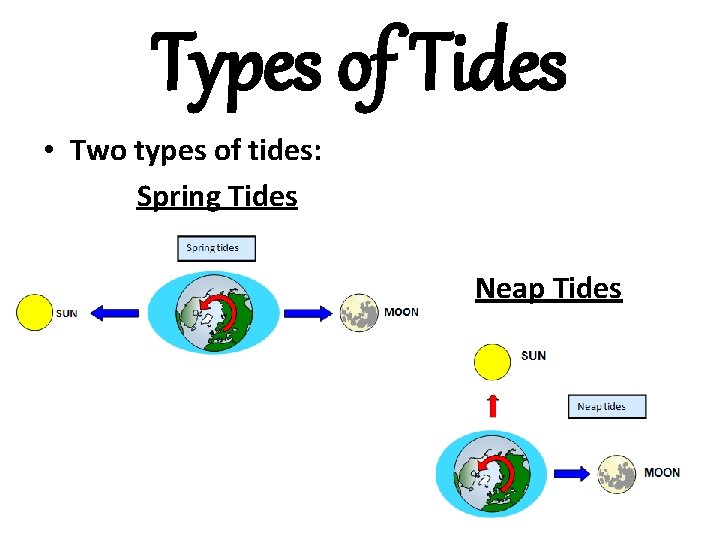 Types of Tides • Two types of tides: Spring Tides Neap Tides 