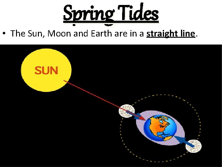 Spring Tides • The Sun, Moon and Earth are in a straight line. 
